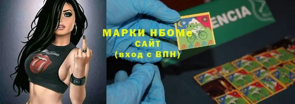 шишки Новокубанск