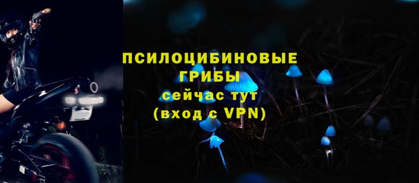 дмт Гусь-Хрустальный