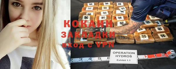 прущий лед Новозыбков